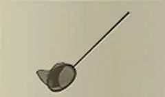 網