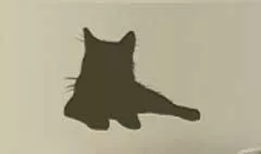 ネコ
