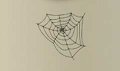 Spider Web silhouette