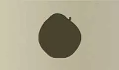 リンゴ