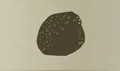 網