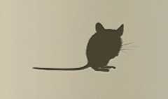 Mouse silhouette #2
