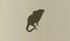 ネズミ