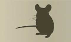 Mouse silhouette #4