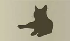 ネコ