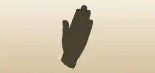 Palmist’s Hand