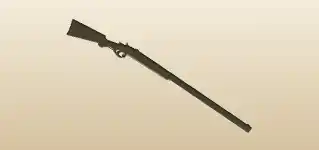 Shotgun