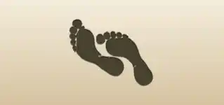 Footprints