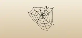 Spider Web