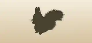 Squirrel silhouette