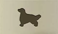 イヌ