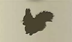 リス