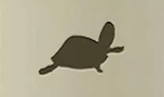 カメ