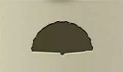 扇子