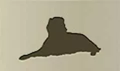 イヌ
