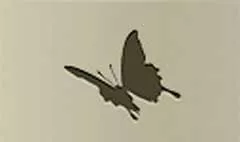 ちょうちょう