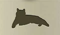 ネコ