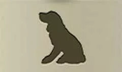 イヌ