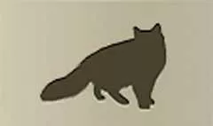 ネコ
