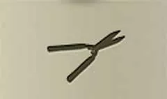 庭用ハサミ