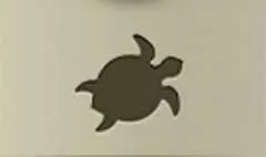 カメ