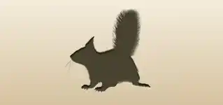 Squirrel silhouette
