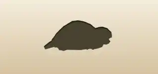 Turtle silhouette