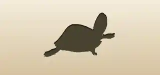 Turtle silhouette