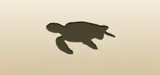 Turtle silhouette