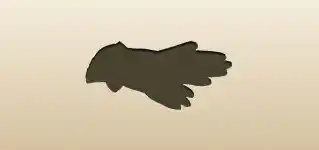 Gloves silhouette