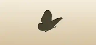 Butterfly silhouette