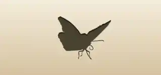 Butterfly silhouette