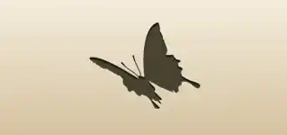 Butterfly silhouette