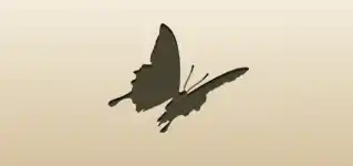 Butterfly silhouette