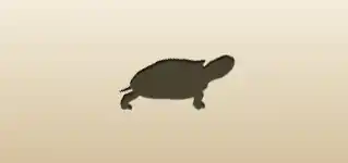 Turtle silhouette