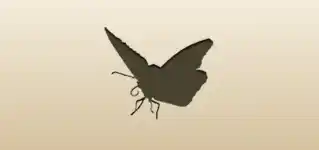 Butterfly silhouette