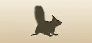 Squirrel silhouette
