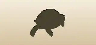Turtle silhouette