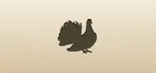 Pigeon silhouette