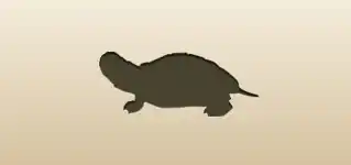 Turtle silhouette