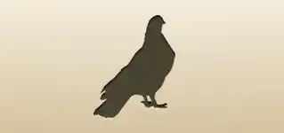 Pigeon silhouette