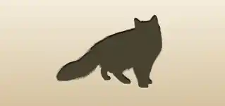 Cat silhouette