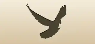Pigeon silhouette