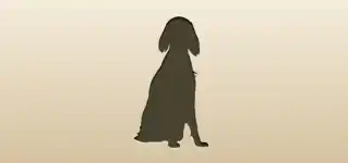 Dog silhouette