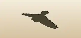 Pigeon silhouette