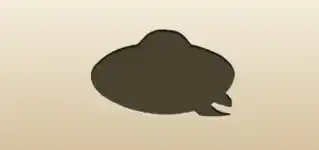 Women’s Hat silhouette