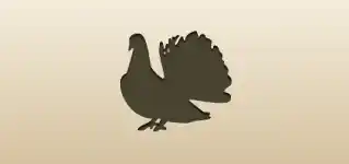 Pigeon silhouette