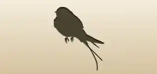 Swallow silhouette