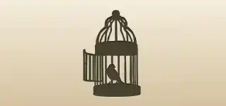 Birdcage silhouette