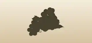 Grapes silhouette